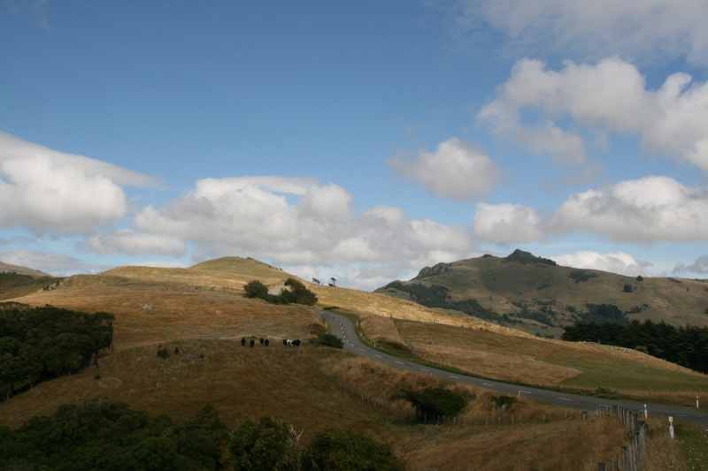 Nieuw-Zeeland 2011 - 2135